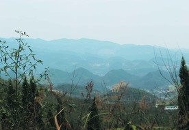 山