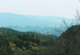 山