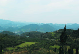 山