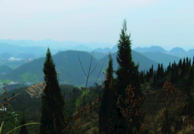山
