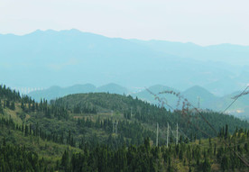 山