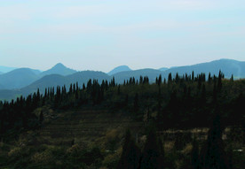 山