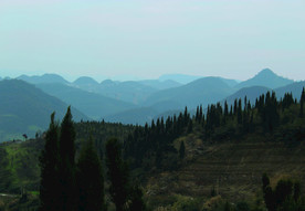 山