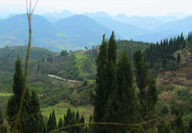 山