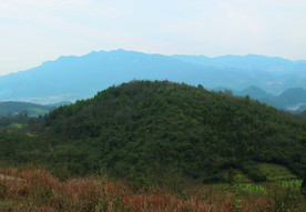 山