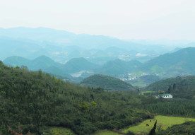 山