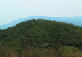 山