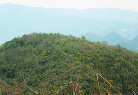 山