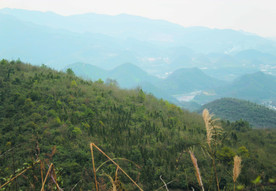 山