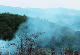 山
