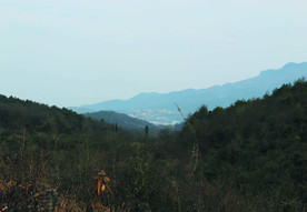 山