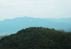 山