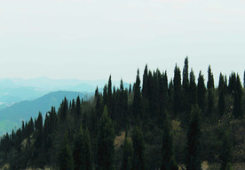 山