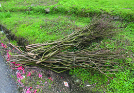 柴   年三十进财门柴