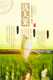 五常大米促销活动宣传海报素材