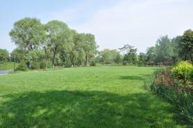 园林中的大草坪