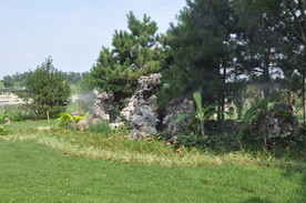 园林置石与植物搭配