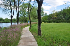 北京某公园滨水园林景观