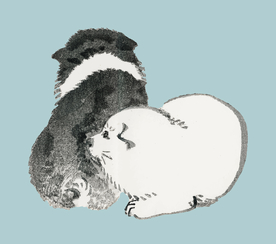 小狗