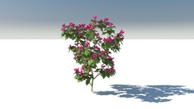 C4D模型树木果树叶子花