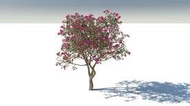 C4D模型树木果树红花荷
