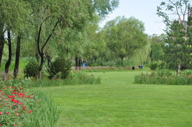 北京某公园大草坪林缘线