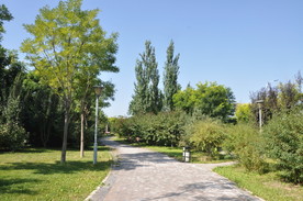 北京某公园植物景观配置