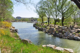 春天的小溪流水