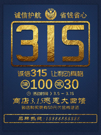 315商场活动海报