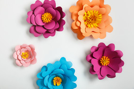 花纹
