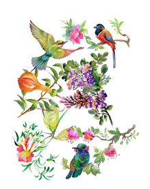 花鸟