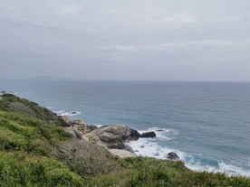 大海