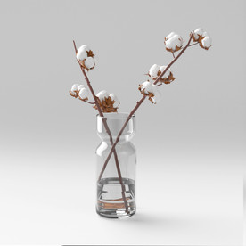 C4D模型盆栽绿色植物棉花插花