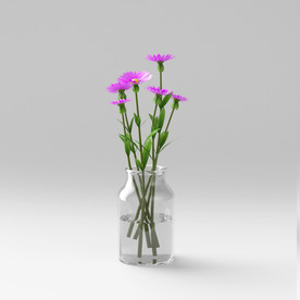C4D模型盆栽绿色植物紫菀插花