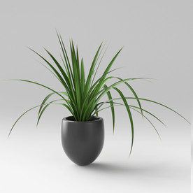 C4D模型盆栽绿色植物兰花插花