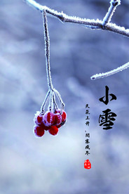 小雪海报