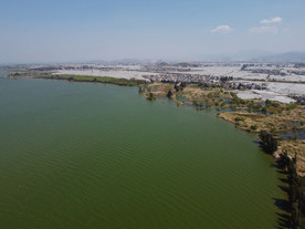 滇池湿地