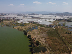 湿地
