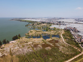 滇池湿地