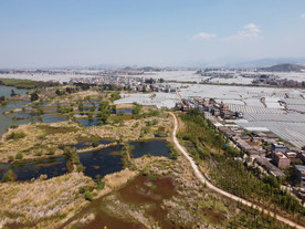 滇池湿地