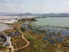 滇池湿地