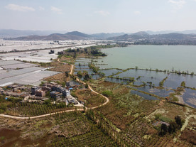 滇池湿地