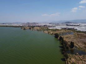 湿地