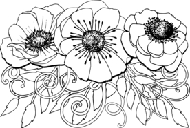 花边花纹