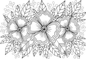 花边花纹