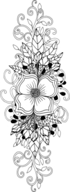 花边花纹
