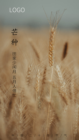 芒种