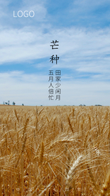 芒种