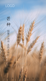 芒种