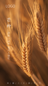 芒种